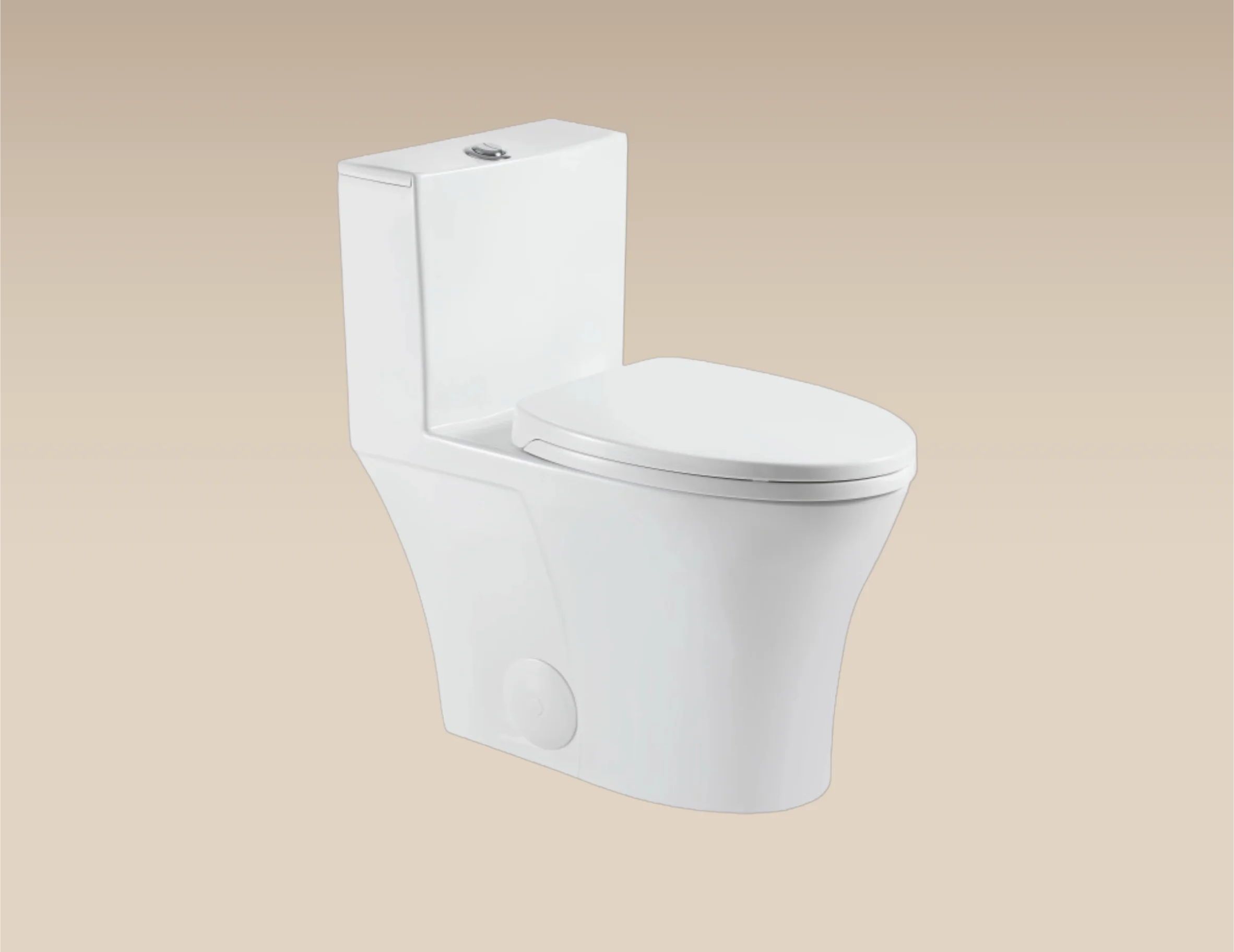 TOILETTE MONOPIÈCE ADA