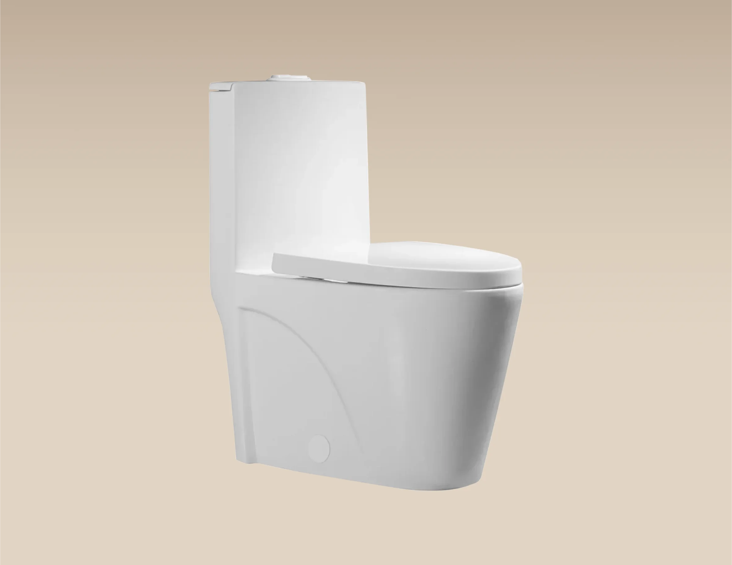 TOILETTE MONOPIÈCE